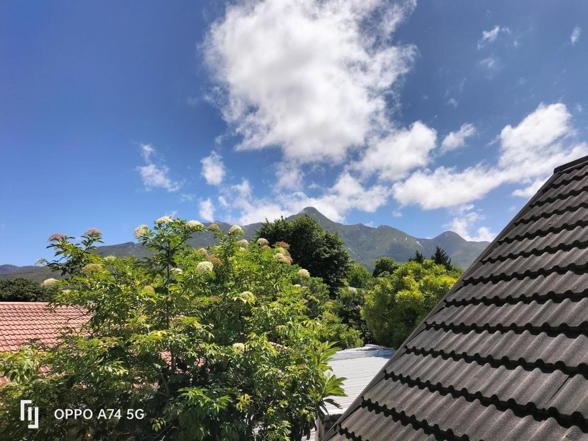 Rozenhof Guest Cottages George Esterno foto